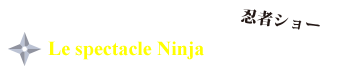 Le spectacle Ninja